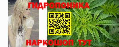 гашишное масло Сосновый Бор
