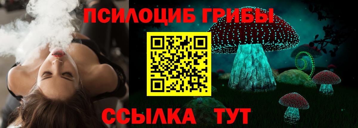Галлюциногенные грибы Psilocybine cubensis  Галлюциногенные грибы Psilocybine cubensis  Березники  Вход с VPN 